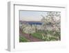 Oregon, Hood River. Cherry orchard and Mt. Hood-Rob Tilley-Framed Photographic Print