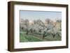 Oregon, Hood River. Cherry orchard and Mt. Hood-Rob Tilley-Framed Photographic Print