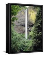 Oregon, Latourell Fall in the Columbia River Gorge-Christopher Talbot Frank-Framed Stretched Canvas