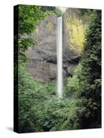 Oregon, Latourell Fall in the Columbia River Gorge-Christopher Talbot Frank-Stretched Canvas