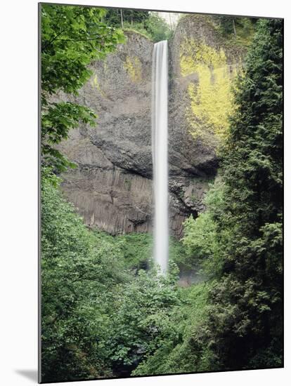 Oregon, Latourell Fall in the Columbia River Gorge-Christopher Talbot Frank-Mounted Premium Photographic Print