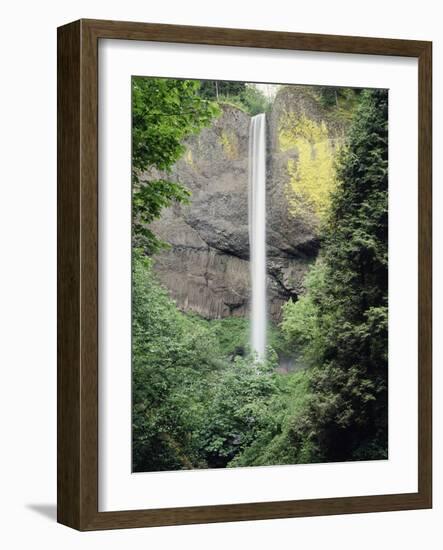 Oregon, Latourell Fall in the Columbia River Gorge-Christopher Talbot Frank-Framed Photographic Print