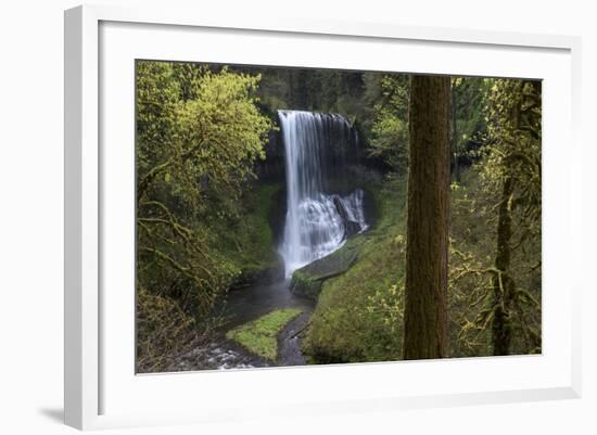 Oregon. Middle North Falls During Early Spring, Silver Falls State Park-Judith Zimmerman-Framed Photographic Print