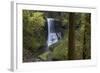 Oregon. Middle North Falls During Early Spring, Silver Falls State Park-Judith Zimmerman-Framed Photographic Print