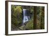 Oregon. Middle North Falls During Early Spring, Silver Falls State Park-Judith Zimmerman-Framed Photographic Print