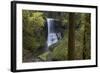 Oregon. Middle North Falls During Early Spring, Silver Falls State Park-Judith Zimmerman-Framed Photographic Print