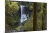 Oregon. Middle North Falls During Early Spring, Silver Falls State Park-Judith Zimmerman-Mounted Photographic Print