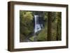 Oregon. Middle North Falls During Early Spring, Silver Falls State Park-Judith Zimmerman-Framed Photographic Print