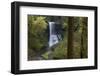 Oregon. Middle North Falls During Early Spring, Silver Falls State Park-Judith Zimmerman-Framed Photographic Print