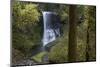 Oregon. Middle North Falls During Early Spring, Silver Falls State Park-Judith Zimmerman-Mounted Photographic Print