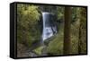 Oregon. Middle North Falls During Early Spring, Silver Falls State Park-Judith Zimmerman-Framed Stretched Canvas