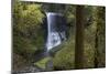 Oregon. Middle North Falls During Early Spring, Silver Falls State Park-Judith Zimmerman-Mounted Photographic Print