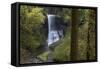 Oregon. Middle North Falls During Early Spring, Silver Falls State Park-Judith Zimmerman-Framed Stretched Canvas