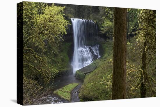 Oregon. Middle North Falls During Early Spring, Silver Falls State Park-Judith Zimmerman-Stretched Canvas