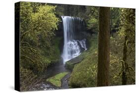 Oregon. Middle North Falls During Early Spring, Silver Falls State Park-Judith Zimmerman-Stretched Canvas