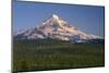 Oregon. Mount Hood National Forest, evening light on north side of Mound Hood and conifer forest.-John Barger-Mounted Photographic Print