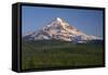 Oregon. Mount Hood National Forest, evening light on north side of Mound Hood and conifer forest.-John Barger-Framed Stretched Canvas