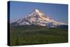 Oregon. Mount Hood National Forest, evening light on north side of Mound Hood and conifer forest.-John Barger-Stretched Canvas