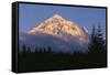 Oregon. Mount Hood NF, evening light defines fresh autumn snowfall-John Barger-Framed Stretched Canvas