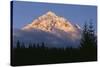 Oregon. Mount Hood NF, evening light defines fresh autumn snowfall-John Barger-Stretched Canvas