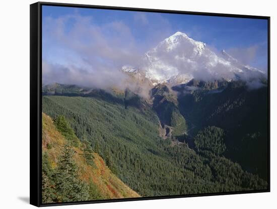 Oregon. Mount Hood NF, Mount Hood Wilderness, Drifting clouds obscure west side of Mount Hood-John Barger-Framed Stretched Canvas