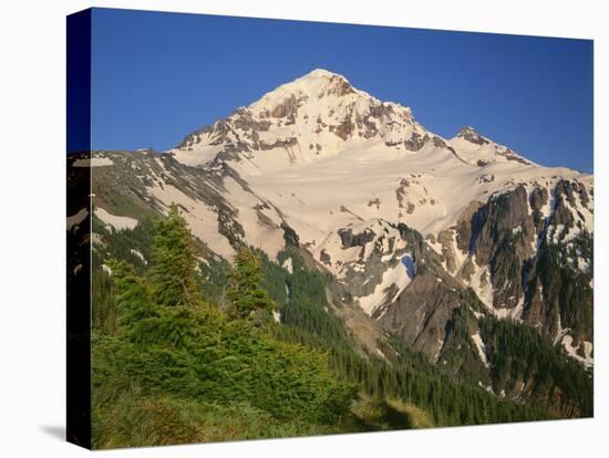 Oregon. Mount Hood NF, Mount Hood Wilderness, evening light on the west side of Mount Hood-John Barger-Stretched Canvas