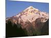 Oregon. Mount Hood NF, Mount Hood Wilderness, evening light on west side of Mount Hood-John Barger-Mounted Photographic Print