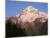 Oregon. Mount Hood NF, Mount Hood Wilderness, evening light on west side of Mount Hood-John Barger-Mounted Photographic Print