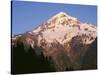 Oregon. Mount Hood NF, Mount Hood Wilderness, evening light on west side of Mount Hood-John Barger-Stretched Canvas