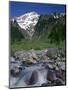 Oregon. Mount Hood NF, Mount Hood Wilderness, Muddy Fork of the Sandy River-John Barger-Mounted Photographic Print