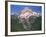 Oregon. Mount Hood NF, Mount Hood Wilderness, west side of Mount Hood and densely forested slopes-John Barger-Framed Photographic Print