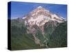 Oregon. Mount Hood NF, Mount Hood Wilderness, west side of Mount Hood and densely forested slopes-John Barger-Stretched Canvas