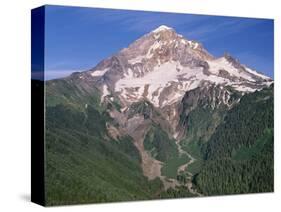 Oregon. Mount Hood NF, Mount Hood Wilderness, west side of Mount Hood and densely forested slopes-John Barger-Stretched Canvas