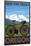 Oregon, Mountain Bike, Ride the Trails-Lantern Press-Mounted Art Print