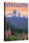 Oregon - Mt. Hood Bear Family and Spring Flowers-Lantern Press-Stretched Canvas