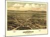 Oregon - Panoramic Map of Jacksonville-Lantern Press-Mounted Art Print