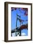 Oregon, Portland, Cathedral Park, St. John's Bridge-Rick A^ Brown-Framed Photographic Print