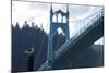 Oregon, Portland, Cathedral Park, Western Gull in Front of St. John's Bridge-Rick A. Brown-Mounted Photographic Print