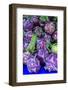 Oregon, Redmond, Bend. The Bend Farmers Market at Top of Mirror Pond Park in downtown-Emily Wilson-Framed Photographic Print