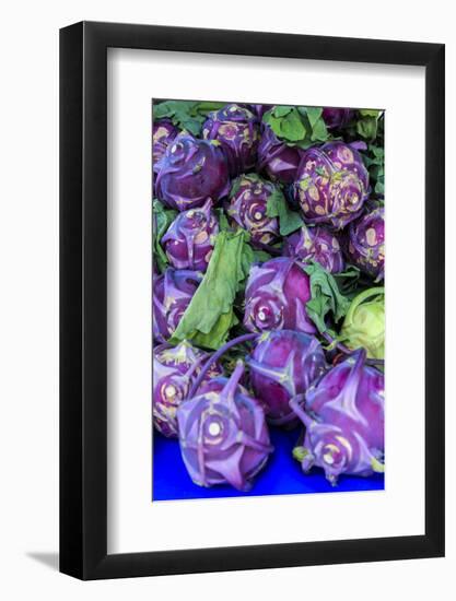 Oregon, Redmond, Bend. The Bend Farmers Market at Top of Mirror Pond Park in downtown-Emily Wilson-Framed Photographic Print