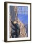 Oregon, Rock Climber-Lantern Press-Framed Art Print