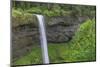 Oregon. Silver Falls State Park, spring flow of South Fork Silver Creek-John Barger-Mounted Photographic Print