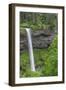 Oregon. Silver Falls State Park, spring flow of South Fork Silver Creek-John Barger-Framed Photographic Print