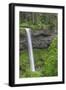 Oregon. Silver Falls State Park, spring flow of South Fork Silver Creek-John Barger-Framed Photographic Print