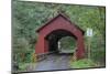 Oregon, Siuslaw National Forest, North Fork Yachats Bridge on the Yachats River-John Barger-Mounted Photographic Print