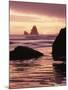 Oregon, Sunset over Sea Stacks at Meyers Creek Beach-Christopher Talbot Frank-Mounted Premium Photographic Print