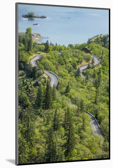 Oregon, Tom Mccall Nature Conservancy. Columbia River Highway Next to Columbia River-Jaynes Gallery-Mounted Photographic Print