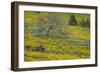 Oregon, Tom Mccall Nature Conservancy. Meadow with Balsamroot Flowers and Oak Tree-Jaynes Gallery-Framed Photographic Print