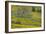 Oregon, Tom Mccall Nature Conservancy. Meadow with Balsamroot Flowers and Oak Tree-Jaynes Gallery-Framed Photographic Print