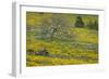 Oregon, Tom Mccall Nature Conservancy. Meadow with Balsamroot Flowers and Oak Tree-Jaynes Gallery-Framed Photographic Print